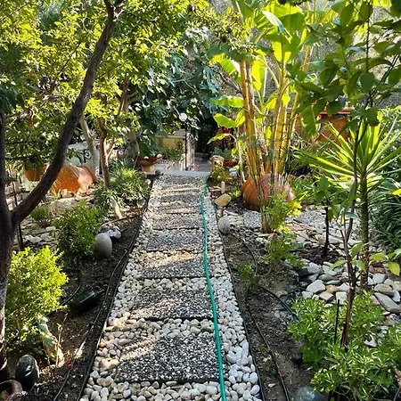 Palmiye Evi פוצ'ה