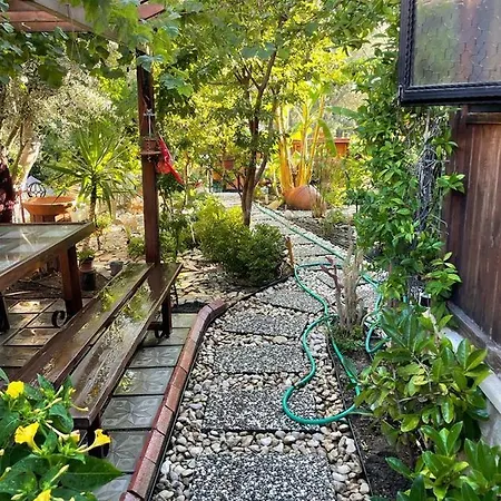בית הארחה Palmiye Evi 3*
