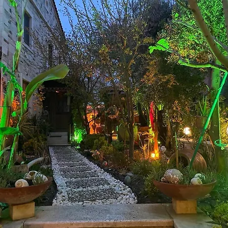 Palmiye Evi 3*